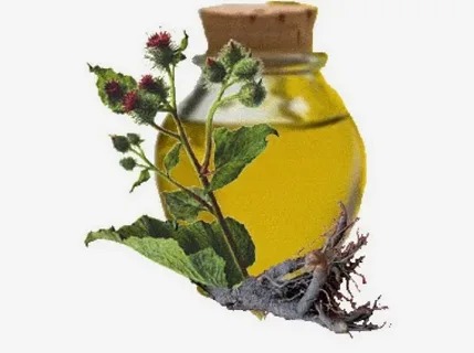 تصویر 3 از عرق خار مریم برای کبد چرب با عصاره طبیعی گیاهی